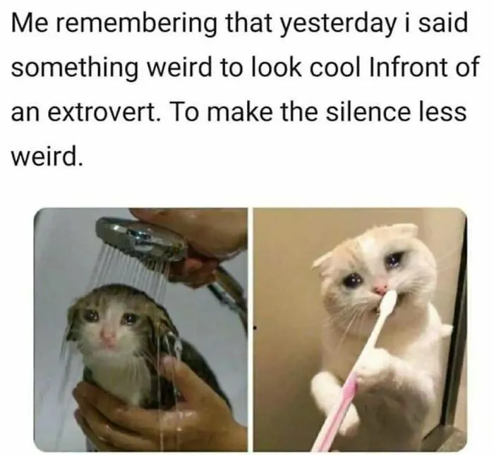 50 Introvert Memes For Anyone Who Loves Staying Home And Recharging Their Social Battery