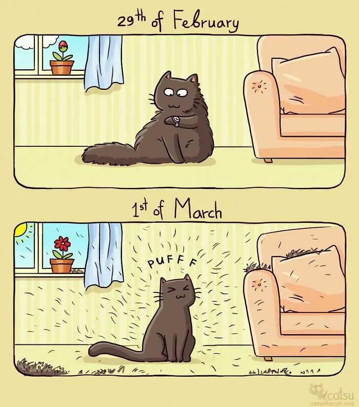 30 Comics Perfectly Depicting Hilarious Cat Antics, By This Artist From Tallinn