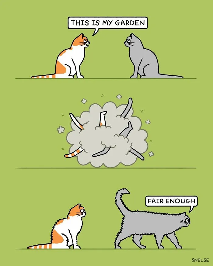 "My Sole Aim Is To Make People Laugh": 35 New Sarcasm-Filled Comics By Steve Nelson