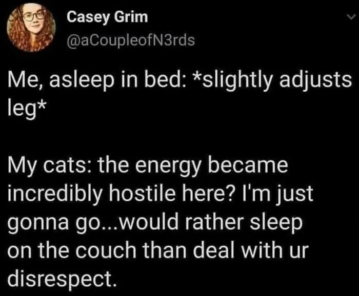 50 Of The Funniest And Most Relatable Cat Memes Shared By This IG Page