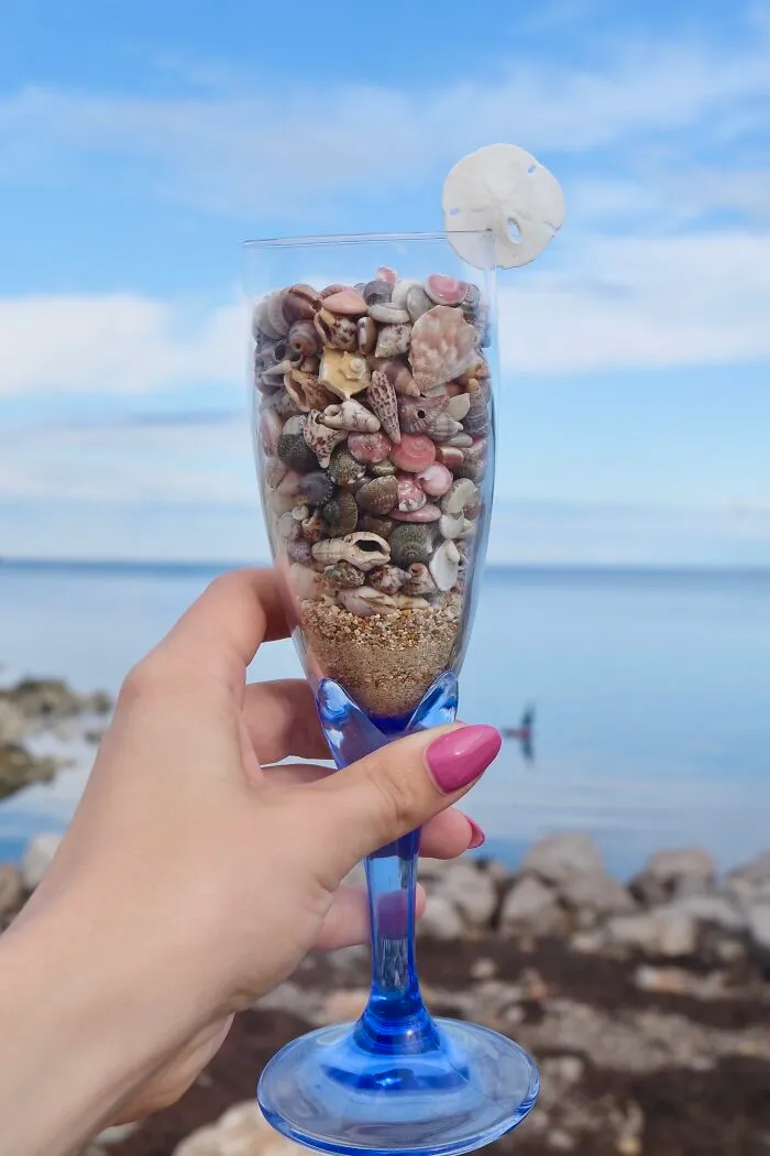 I Made Jewellery Using Shells From An Enchanting Beach