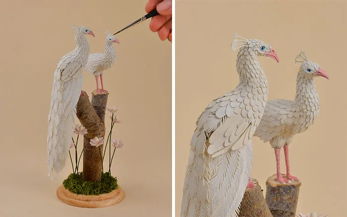 Albino Peacock And Peahen