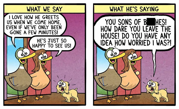 Fowl Language Comics: 30 Witty And Relatable Cartoons By Brian Gordon Featuring Human-Like Ducks