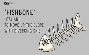 Ski Idioms From Around The World