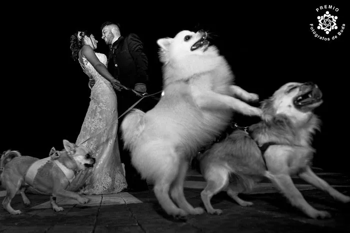 Unexpected Moments. Photo By Gaetano Pipitone
