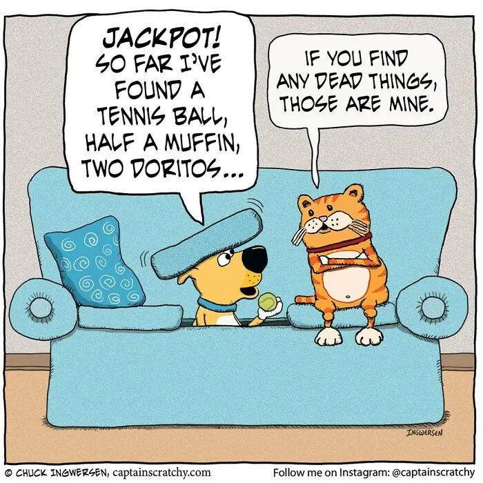 30 New Comics Portraying Animals In Funny Situations By This Artist