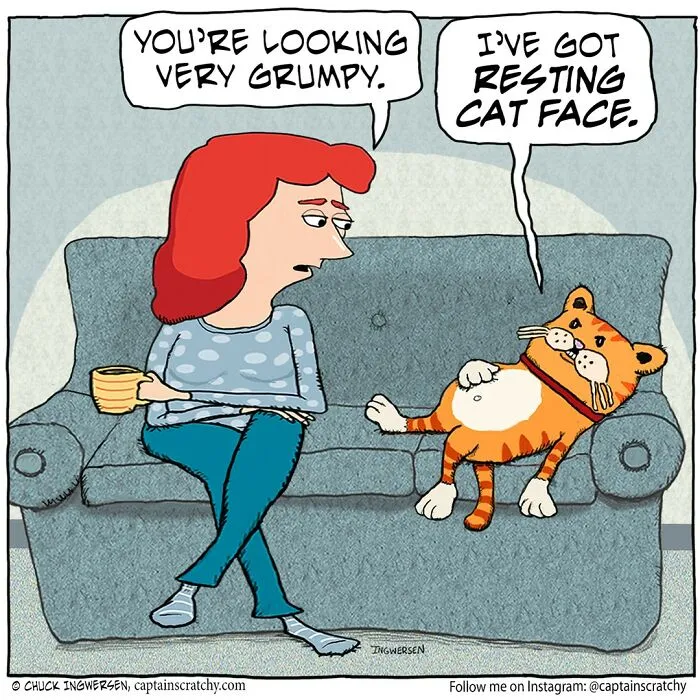 30 New Comics Portraying Animals In Funny Situations By This Artist