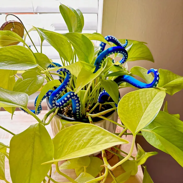 Enhance Your Plant Decor With This <span Style="Font:inherit;color:#d74b1f;"> Sea Monster Tentacles House Plant Accessory </Span>!