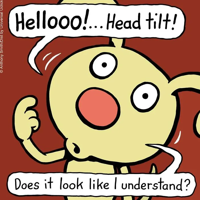 Artist Makes 30 Hilarious One-Panel Comics About A Cute Dog And His Daily Dilemmas