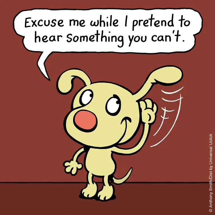Have Fun With The Adventures Of "Cattitude Ans Doggonit", Where A Blue Cat And A Yellow Dog Are The Protagonists