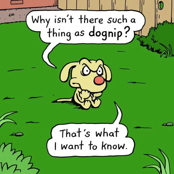 Artist Makes 30 Hilarious One-Panel Comics About A Cute Dog And His Daily Dilemmas