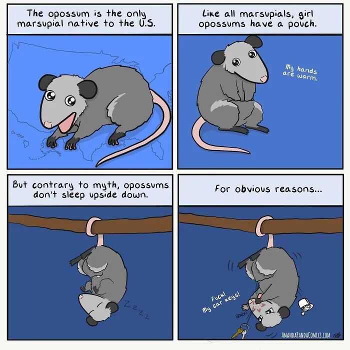 30 Hilarious Comics Depicting Ordinary Situations With A Chaotic Twist By Artist Amanda Panda
