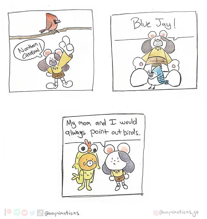 Slice-of-life comics showing a character pointing out different bird species inspired by personal experiences.
