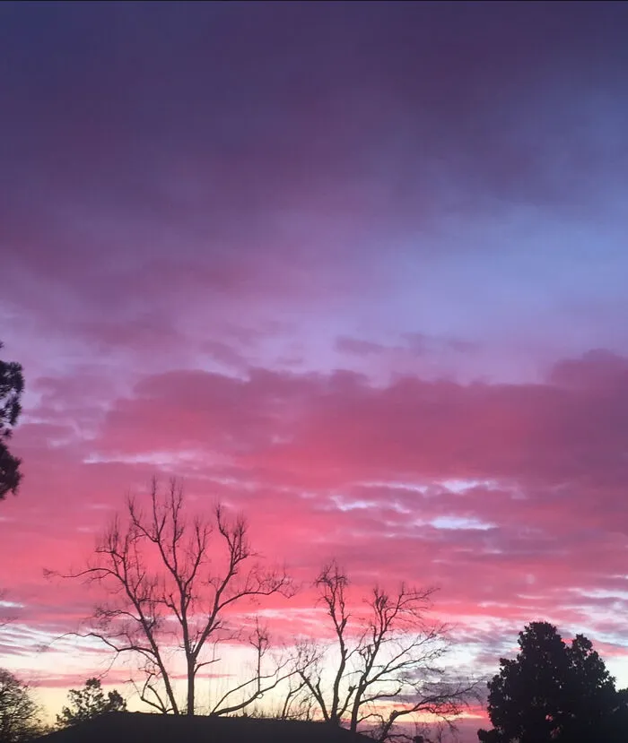 Vivid Sunset