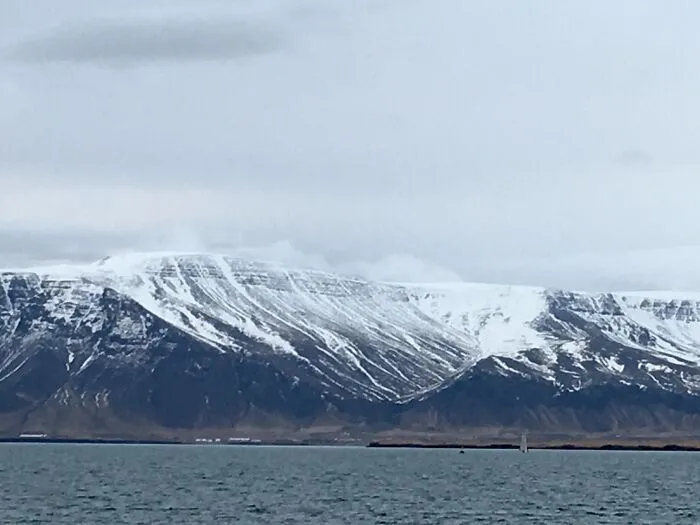 Views From Reykjavik Harbour