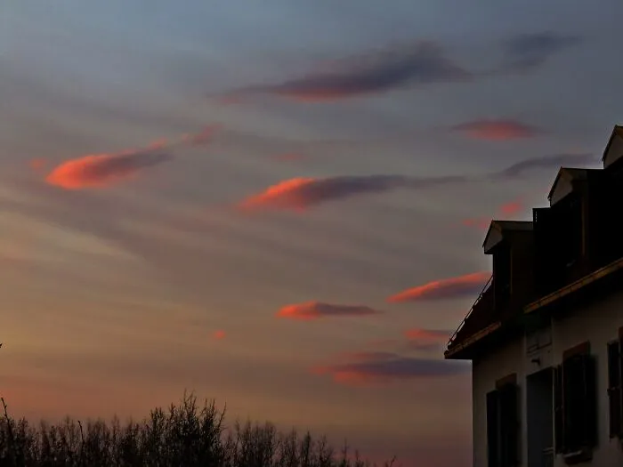 From My Window...sky Flock