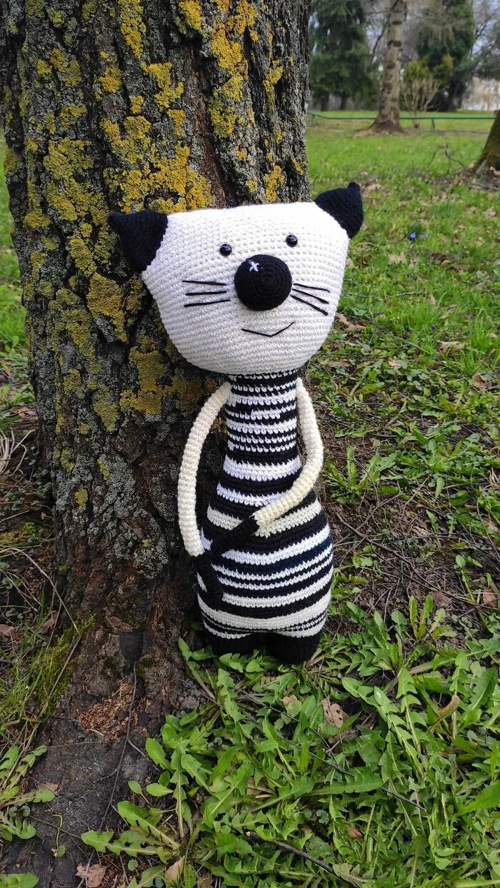 Black And White Cat