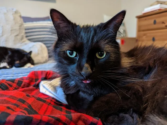 Blep!!!