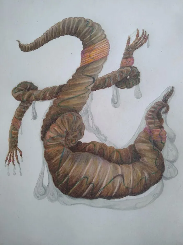 Wormman - Prisma Color Pencils