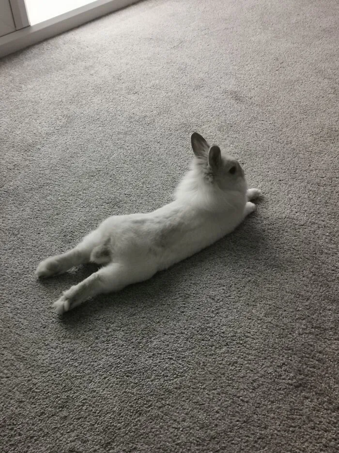 Some Days Just Feel Like This