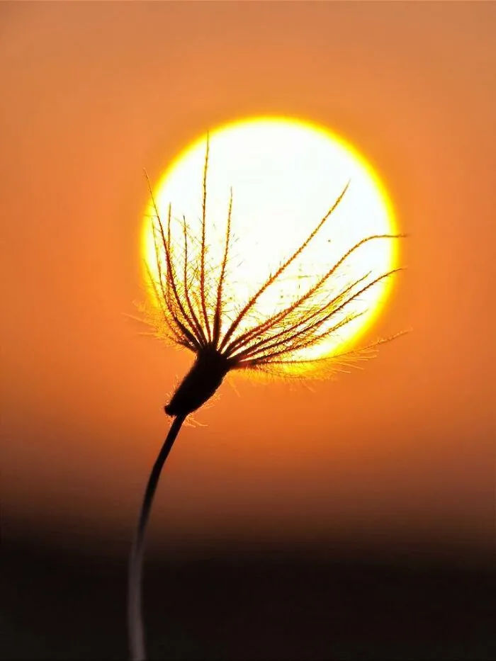 This Photographer Captures The Sun As An Integral Part Of His Photo Stories (17 New Pics)