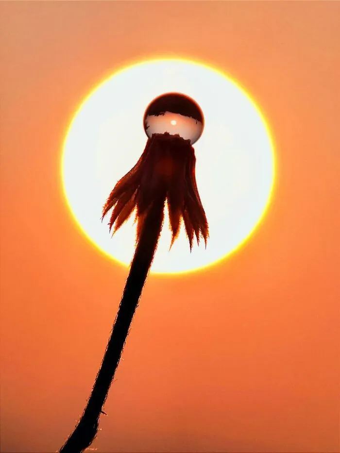 This Photographer Captures The Sun As An Integral Part Of His Photo Stories (17 New Pics)