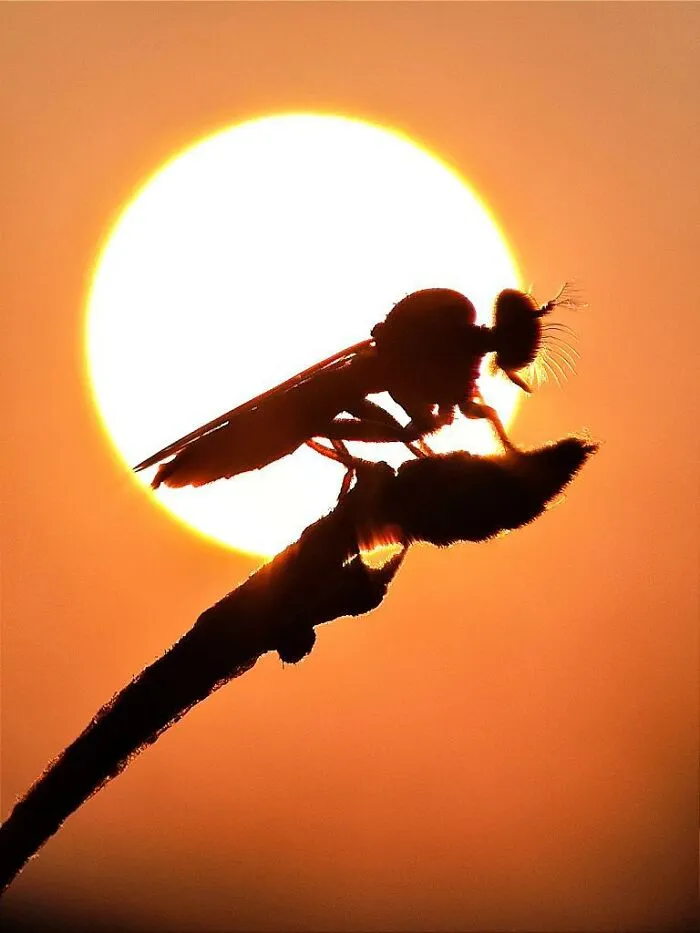 This Photographer Captures The Sun As An Integral Part Of His Photo Stories (17 New Pics)
