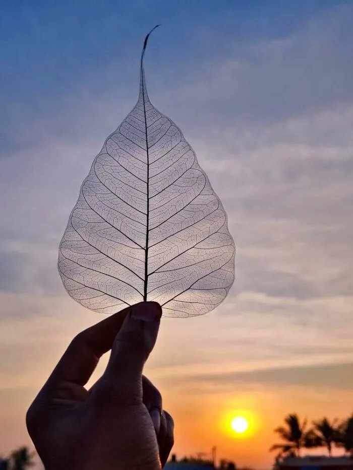 This Photographer Captures The Sun As An Integral Part Of His Photo Stories (17 New Pics)