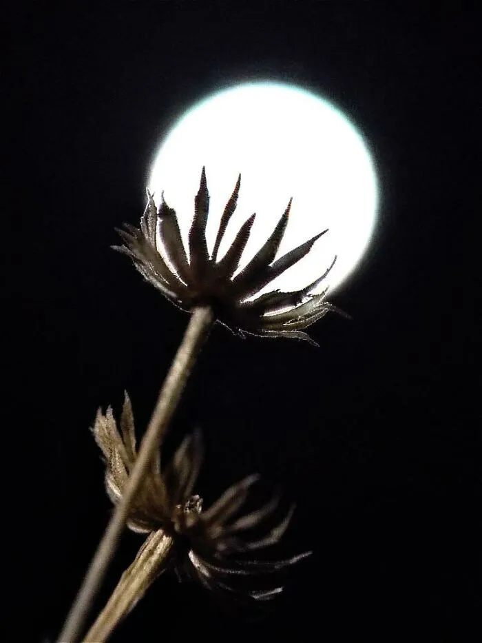 This Photographer Captures The Sun As An Integral Part Of His Photo Stories (17 New Pics)