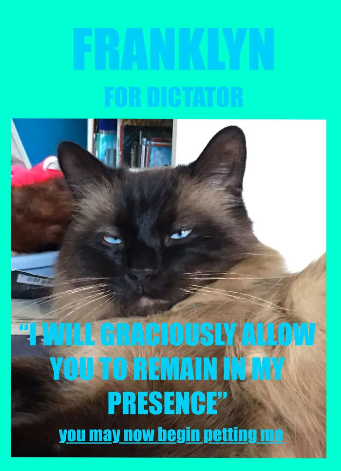 He’s Got My Vote!