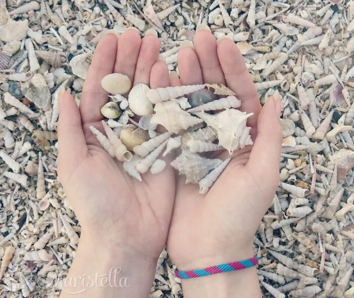 I Made Jewellery Using Shells From An Enchanting Beach