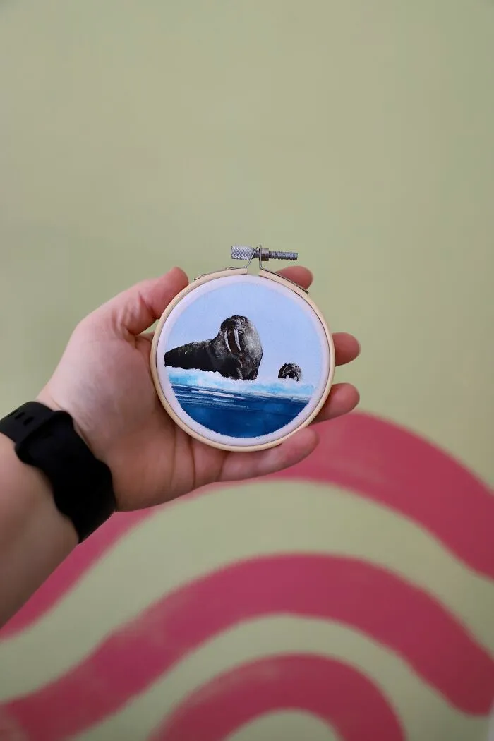 Walrus - 3"
