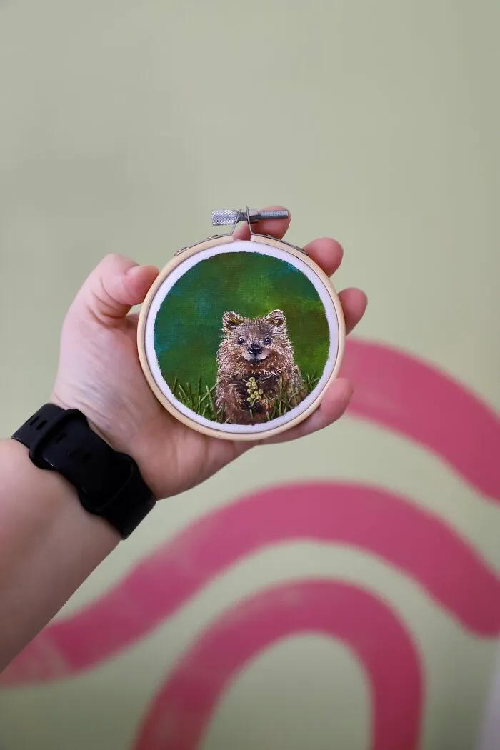 Quokka - 3"