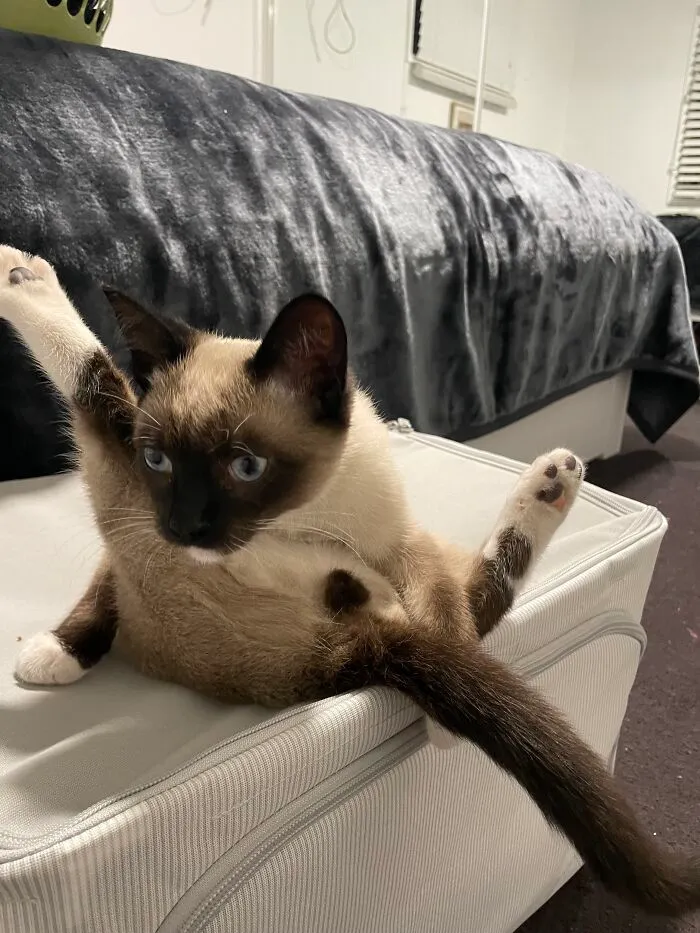 You Never Know When That Existential Crisis Gonna Hit Ya