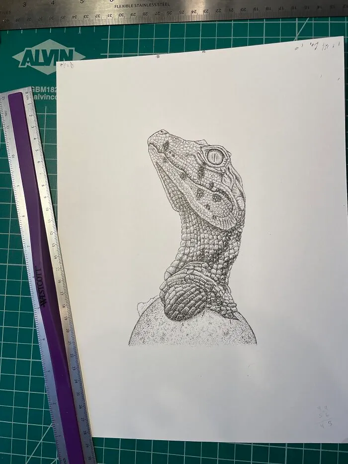 Baby Aligator