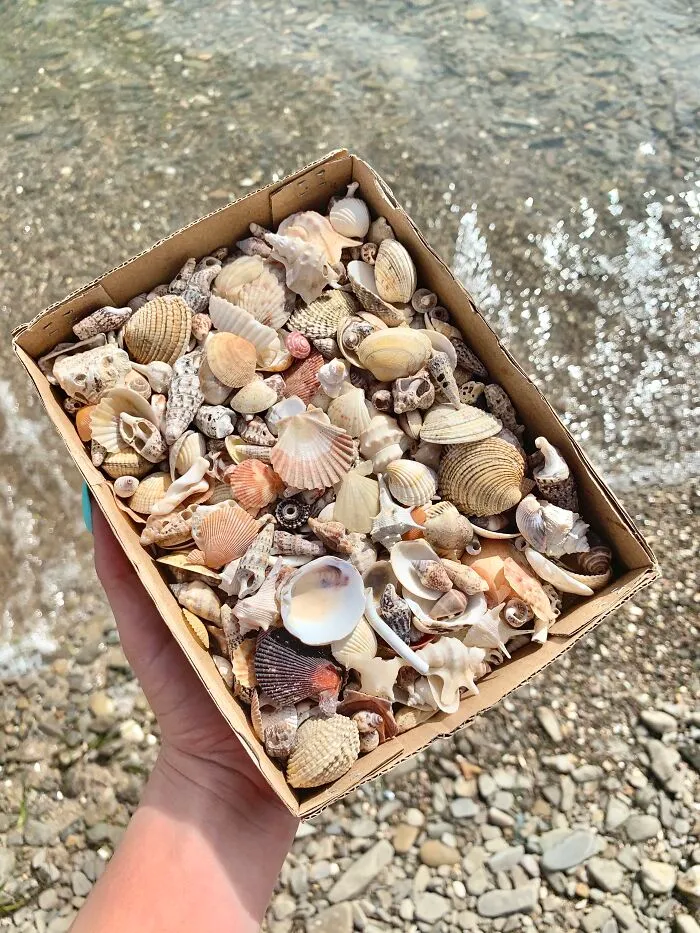 I Made Jewellery Using Shells From An Enchanting Beach
