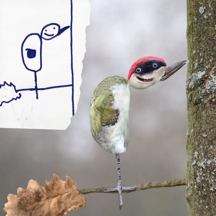 If Kids' Drawings Were Real (31 Pics)