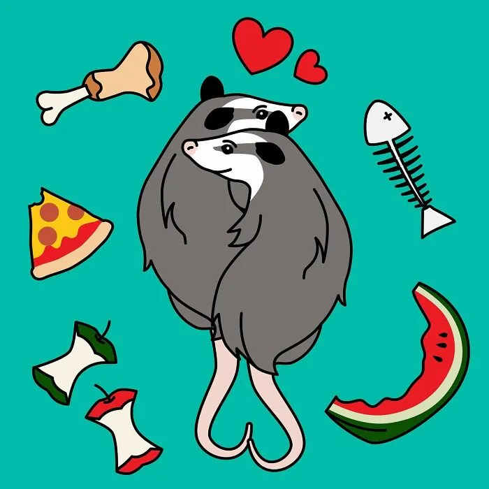 30 Colorful Illustrations By The Artist Adela Madej