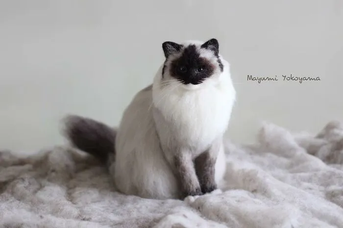 This Japanese Artist Creates Realistic Cats With Needle Felting, And Here's The Result (27 Pics)