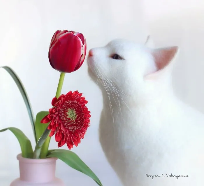 This Japanese Artist Creates Realistic Cats With Needle Felting, And Here's The Result (27 Pics)