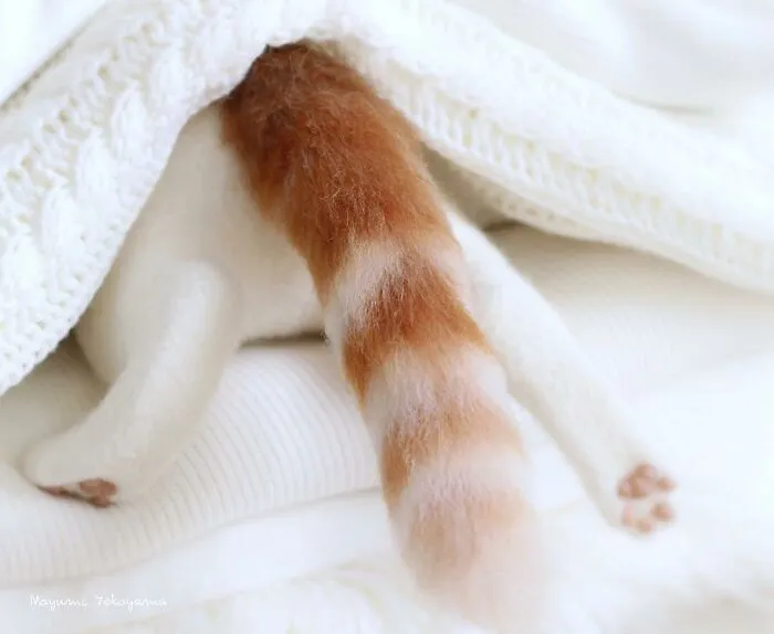 This Japanese Artist Creates Realistic Cats With Needle Felting, And Here's The Result (27 Pics)