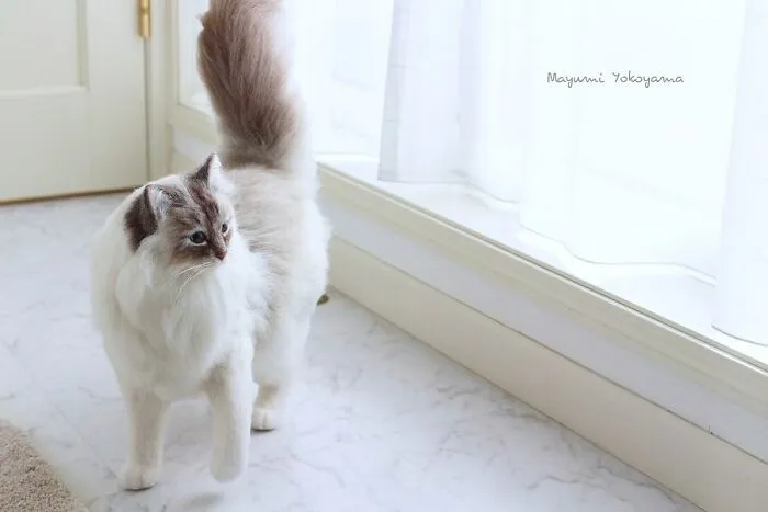 This Japanese Artist Creates Realistic Cats With Needle Felting, And Here's The Result (27 Pics)