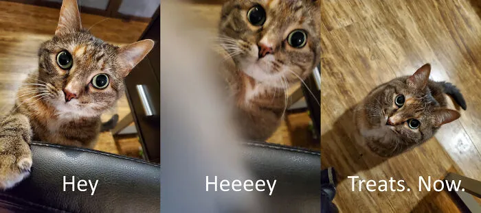 Could You Say No?