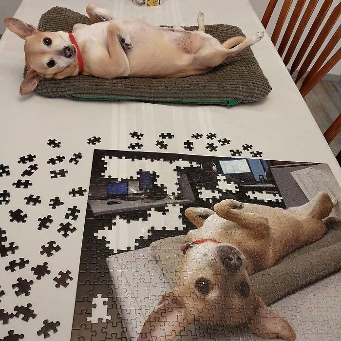 Piece Together Precious Moments: <span Style="Font:inherit;color:#d74b1f;"> A Custom Photo Puzzle </Span> - Tell Your Story With Every Piece!