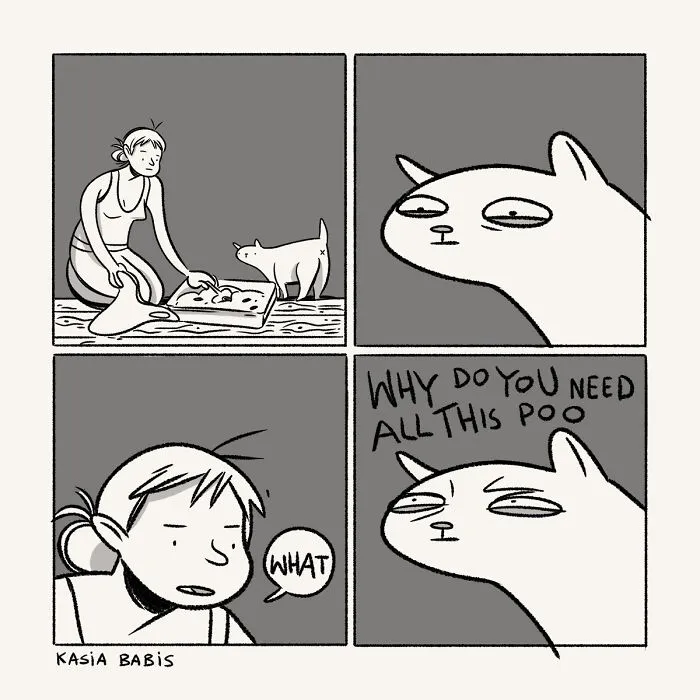 30 Sarcastic Comics Featuring Random Topics By Kasia Babis