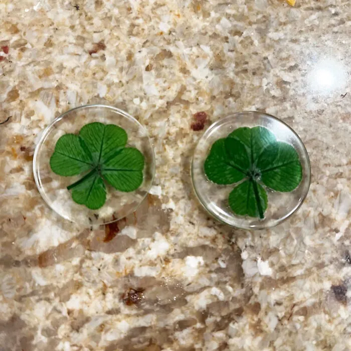 Carry Your Luck Everywhere With This <span Style="Font:inherit;color:#d74b1f;"> Real Four Leaf Clover Token </Span> - A Preserved Charm For St. Patrick's Day And Beyond!