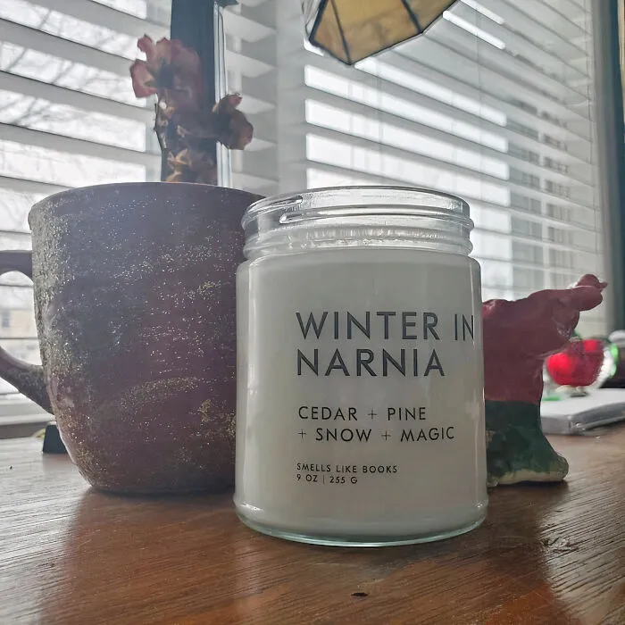 Experience The Enchantment Of Winter In Narnia With This Cozy <span Style="Font:inherit;color:#d74b1f;"> Soy Candle </Span> - The Perfect Gift For A True Fan