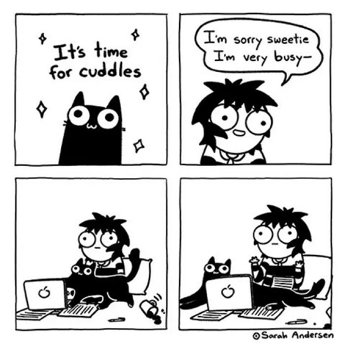 50 Of The Newest Comics About Life As An Introvert By Sarah Andersen