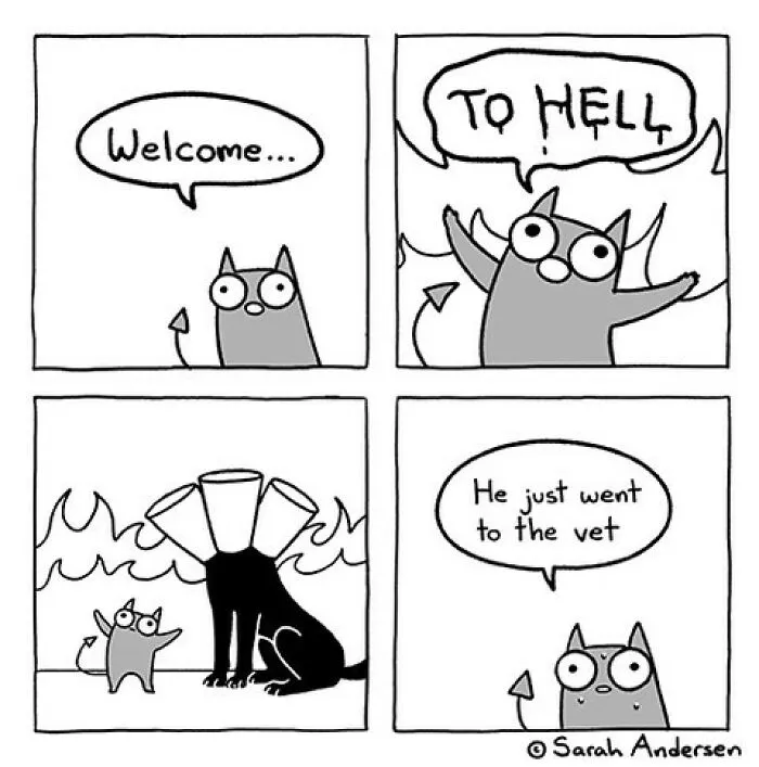 50 Of The Newest Comics About Life As An Introvert By Sarah Andersen