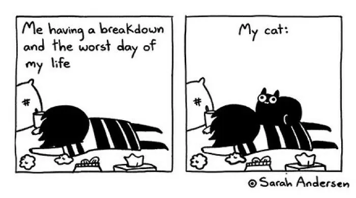 50 Of The Newest Comics About Life As An Introvert By Sarah Andersen